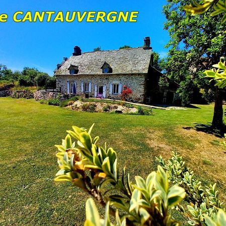 Willa Gite Cantauvergne Vebret Zewnętrze zdjęcie