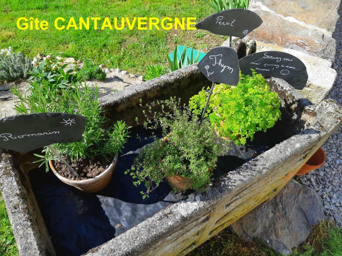 Willa Gite Cantauvergne Vebret Zewnętrze zdjęcie